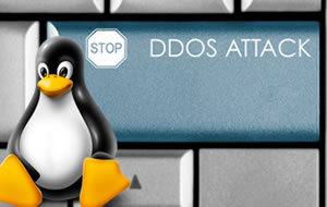 Análisis de la Botnet operada con Linux que generó ataques DDoS