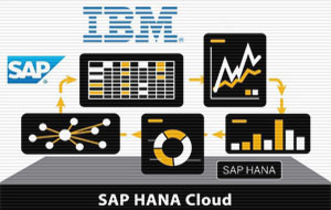 IBM y SAP impulsan nube empresarial en México