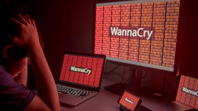 WannaCry fue noticia, pero su objetivo eran los centros de datos