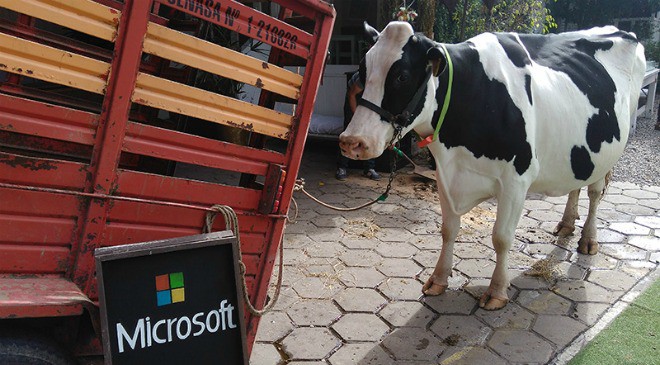 La nube y la vaca parlanchina (y otras historias de Agrotech) La nube y la vaca parlanchina (y otras historias de Agrotech)