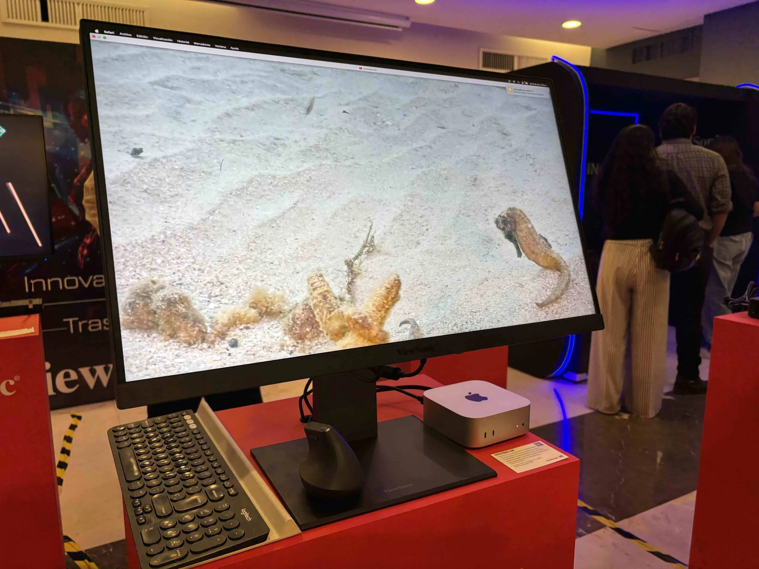 ViewSonic lanza su primer monitor para Mac y una pantalla interactiva con sistema operativo Chrome
